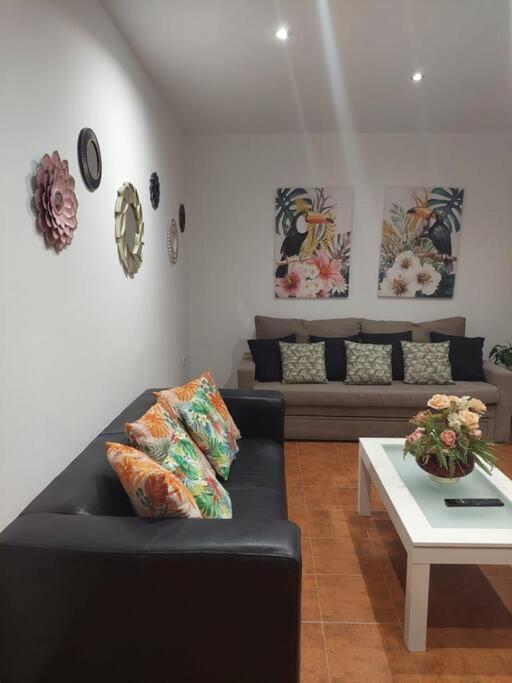 Apartamento Santa Maria Cadiz Bagian luar foto